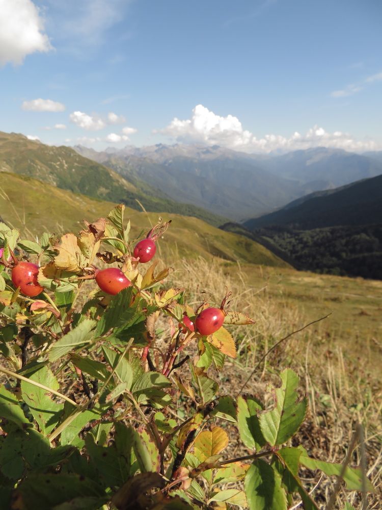 Photograph by Мария Кодун-Иванова