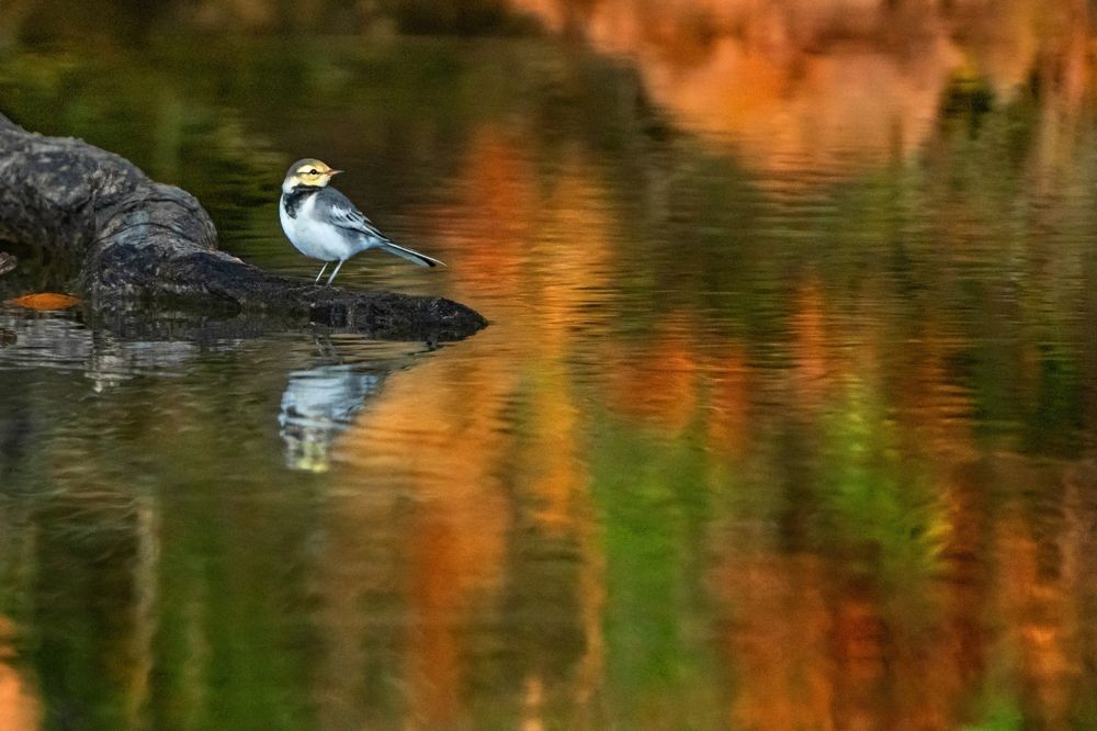 Photograph by Ольга Мусиенко