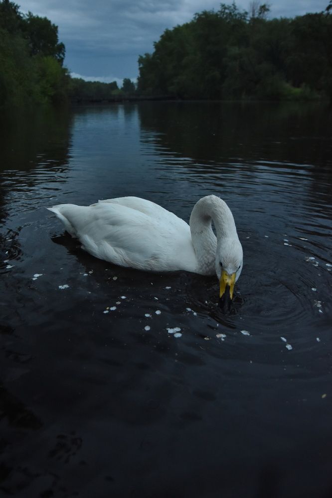 Photograph by Andrey