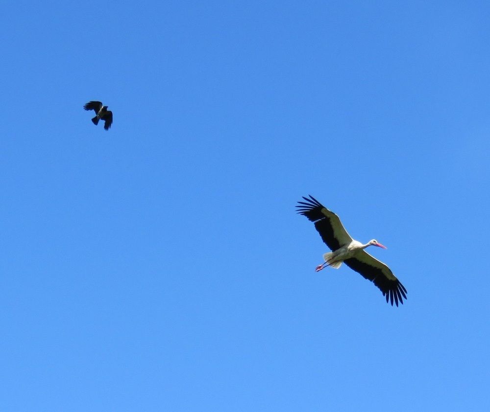 Photograph by Валерия Яскович