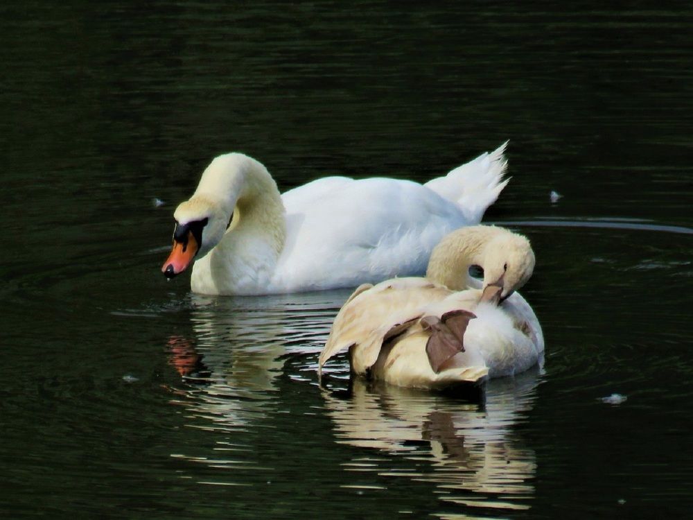 Photograph by Валерия Яскович