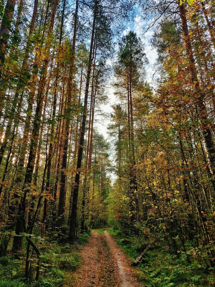 Photograph by Ксения Цветкова