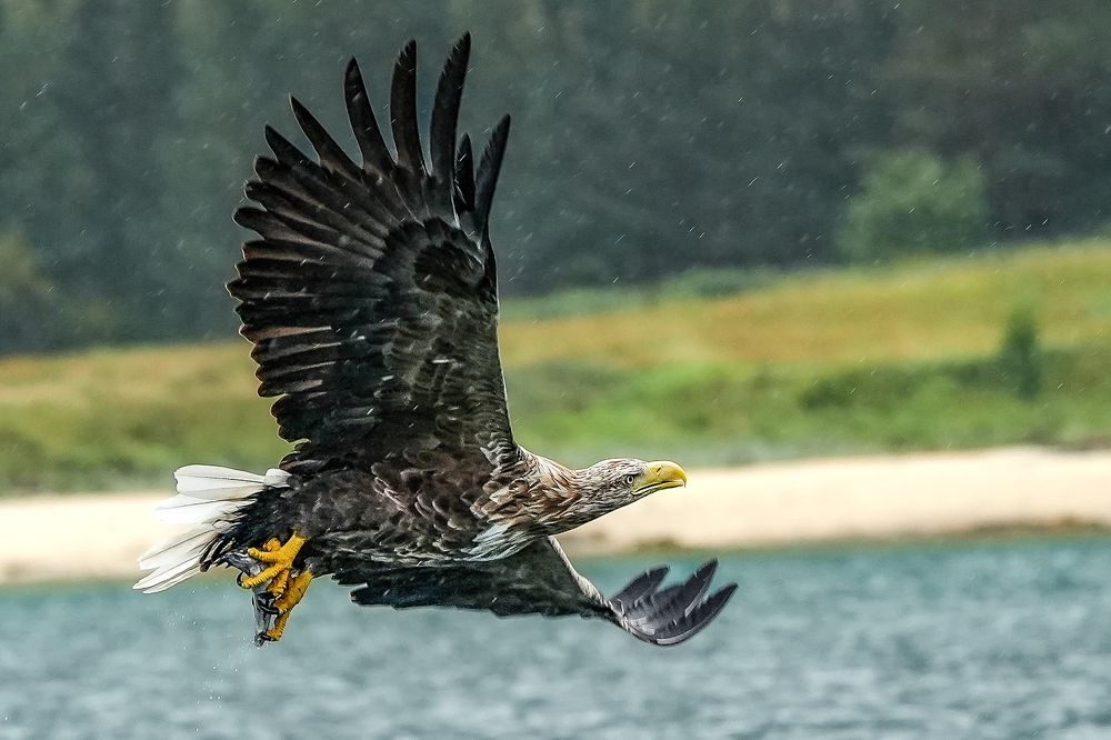 Фотография автора Jian Ma