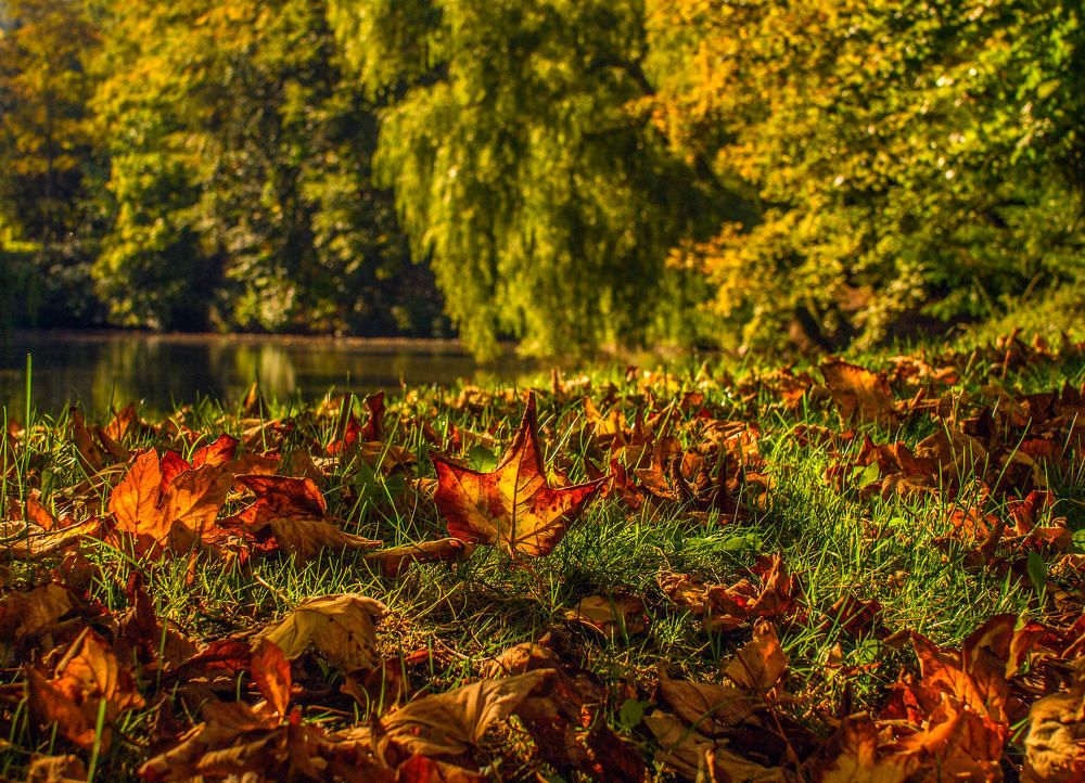 Фотография автора David Solodar