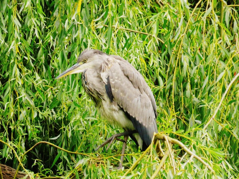 Photograph by Валерия Яскович