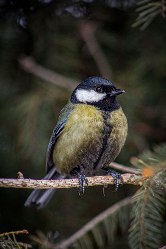 Photograph by Анна Осинцева