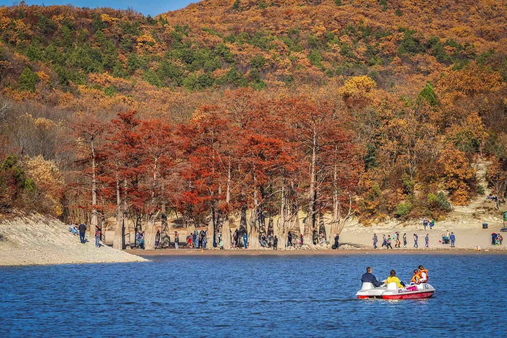 Photograph by Евгений Киселев