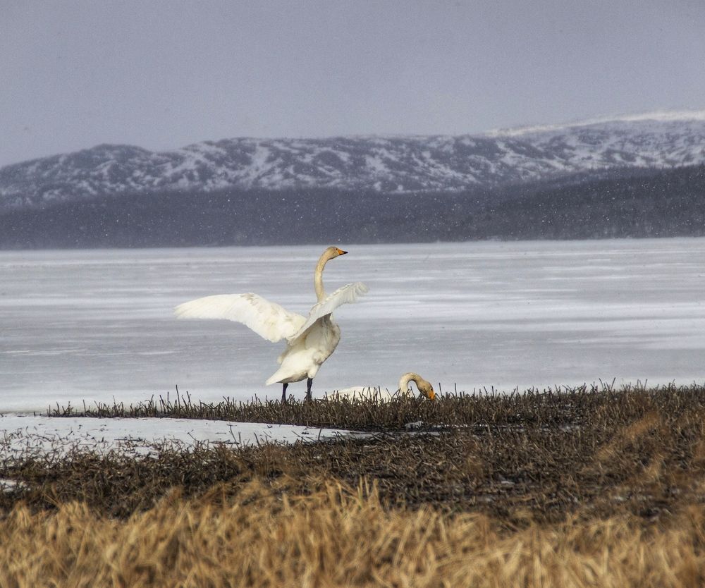 Фотография автора Светлана Терехова
