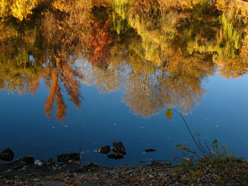 Тихая вода / Still water