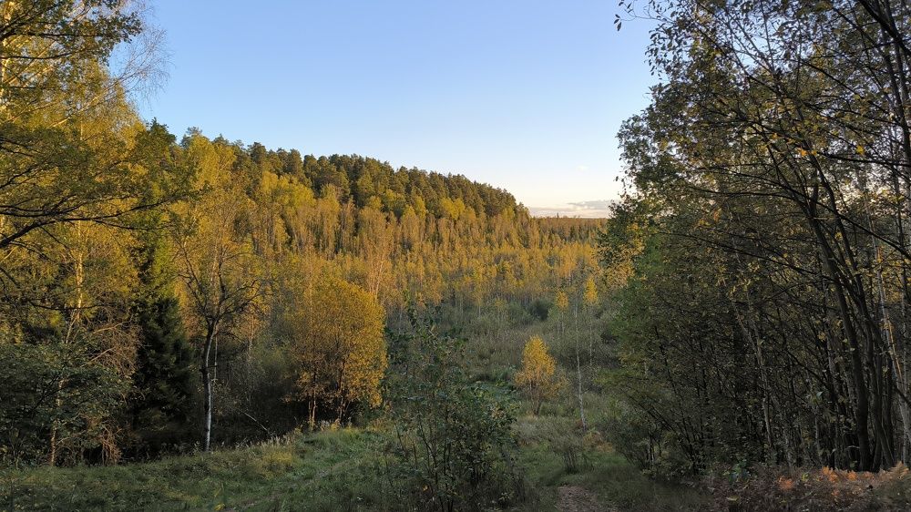 Photograph by Денис Хасанов