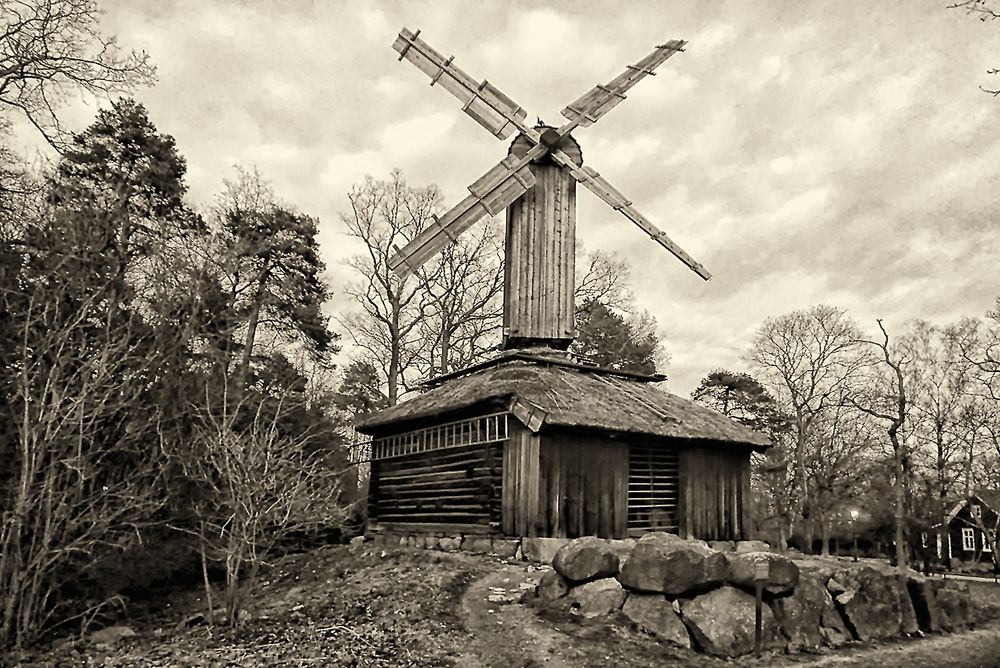 Фотография автора Milena Ivanova