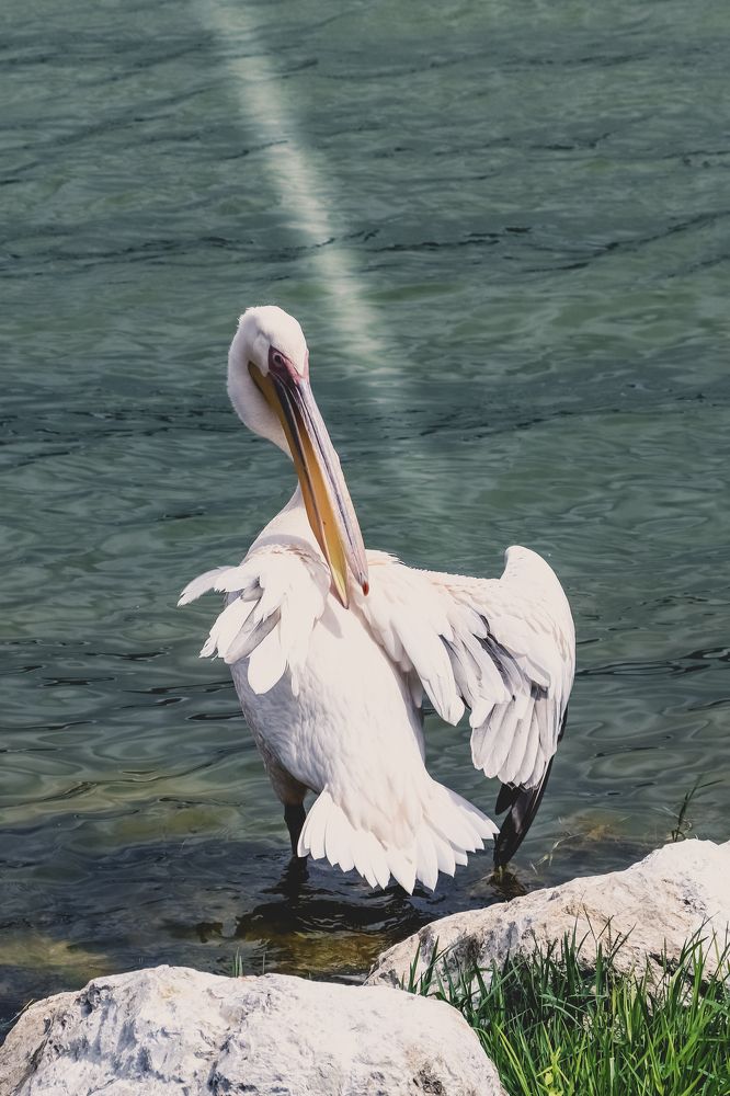 Photograph by Buket Demirel