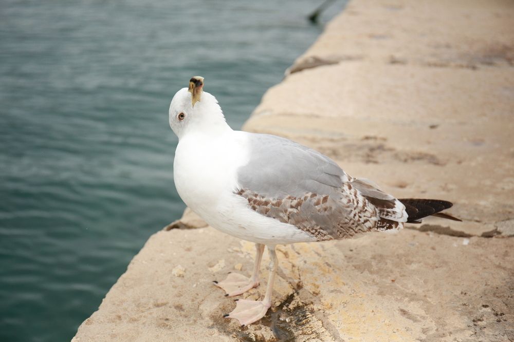 Photograph by Марина Юрченко