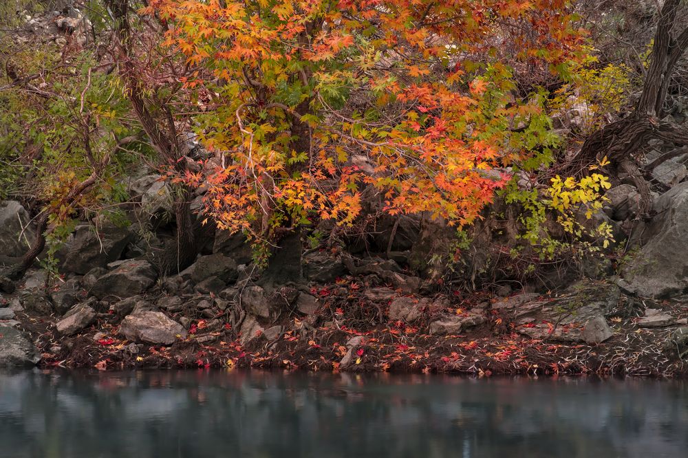 Photograph by Adl Abdolahi