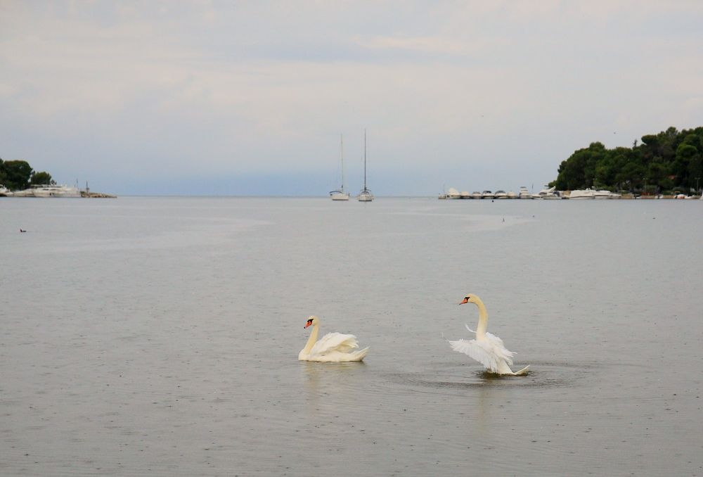 Photograph by Марина Юрченко