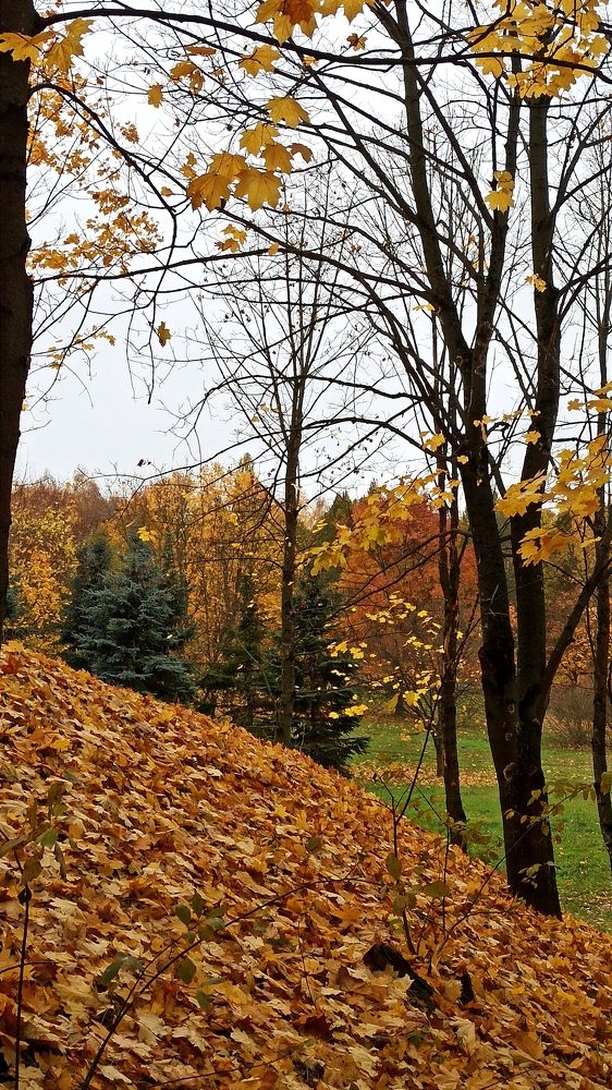 Photograph by Людмила Щуцкая