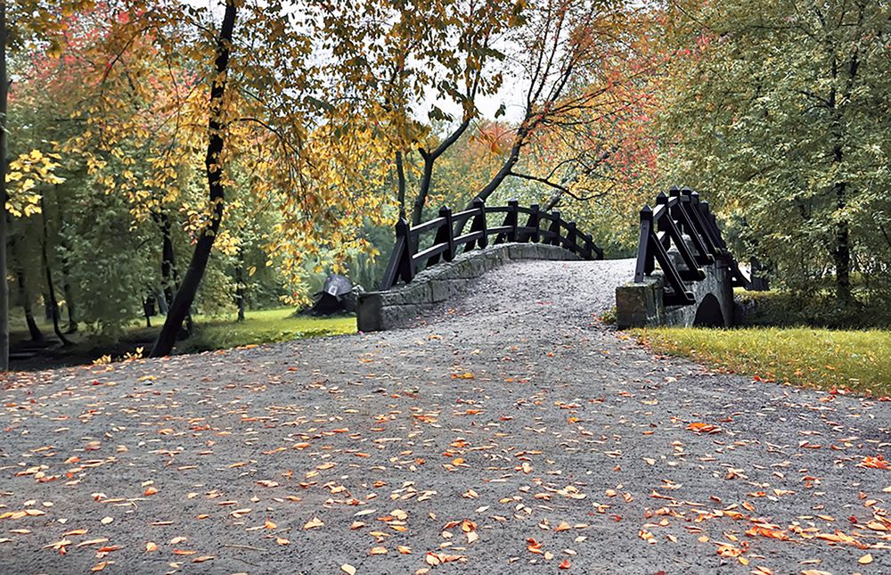 Photograph by Елена Белькова