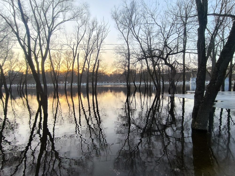 Photo #11088963