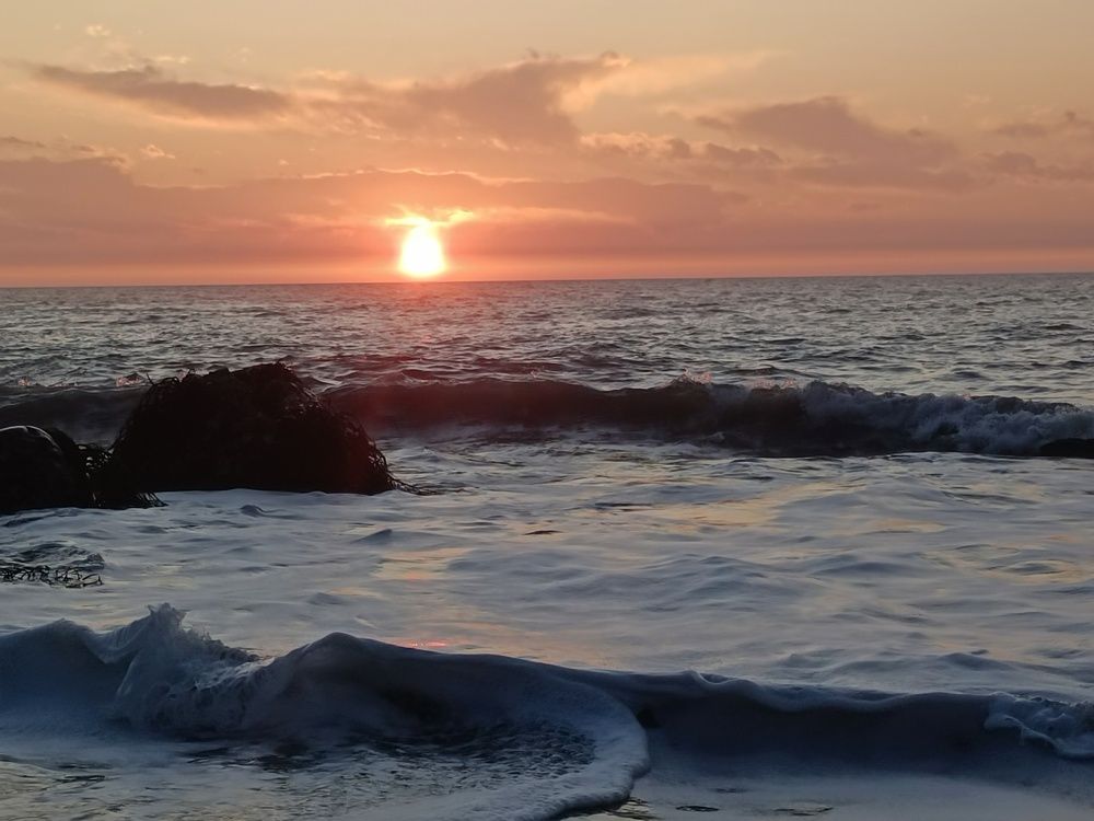 Photo #11088983