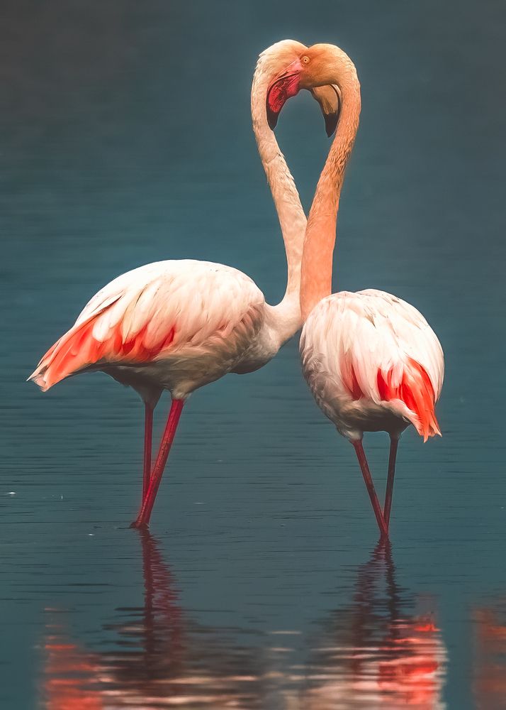 Photograph by Шварцман Евгений