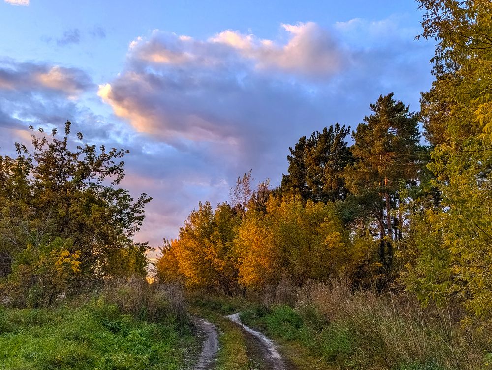 Золото осени