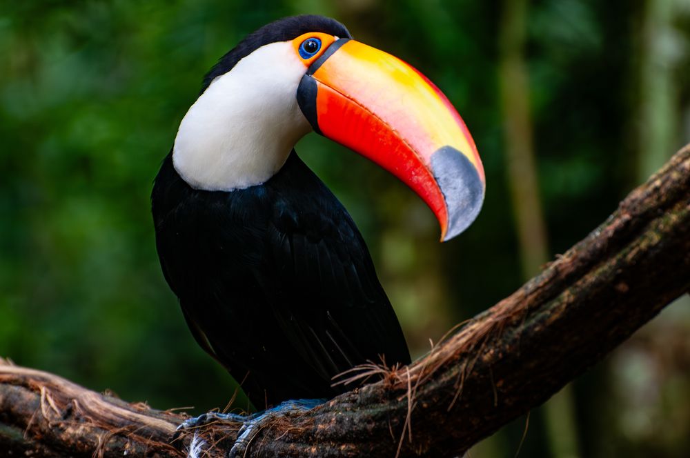 Photograph by Carlos Eduardo Barreto Pinheiro