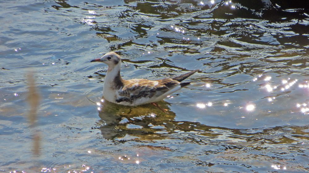 Photograph by Мигун Александра