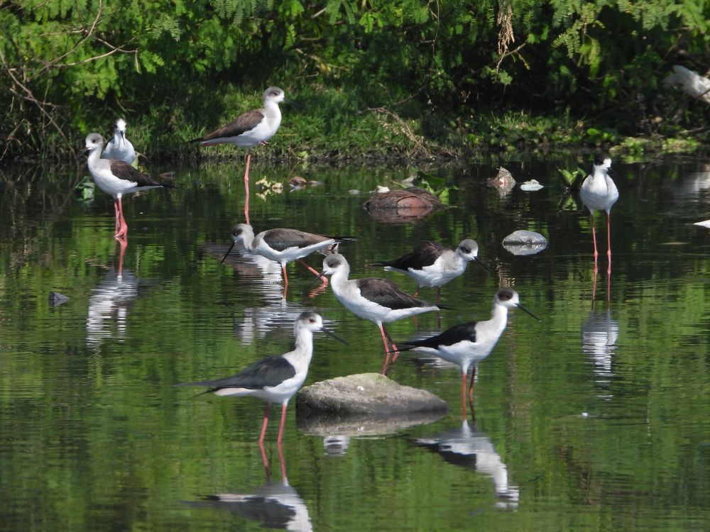 Photograph by Sougata Bhar