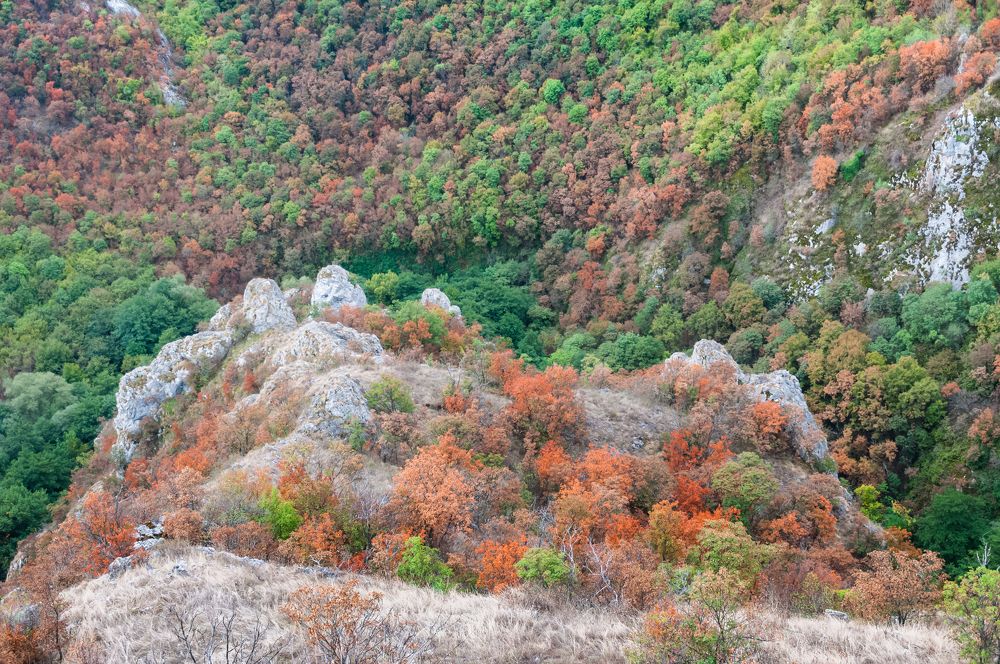 Photograph by Dragan Leles