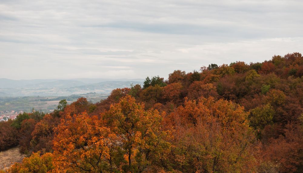 Photograph by Dragan Leles