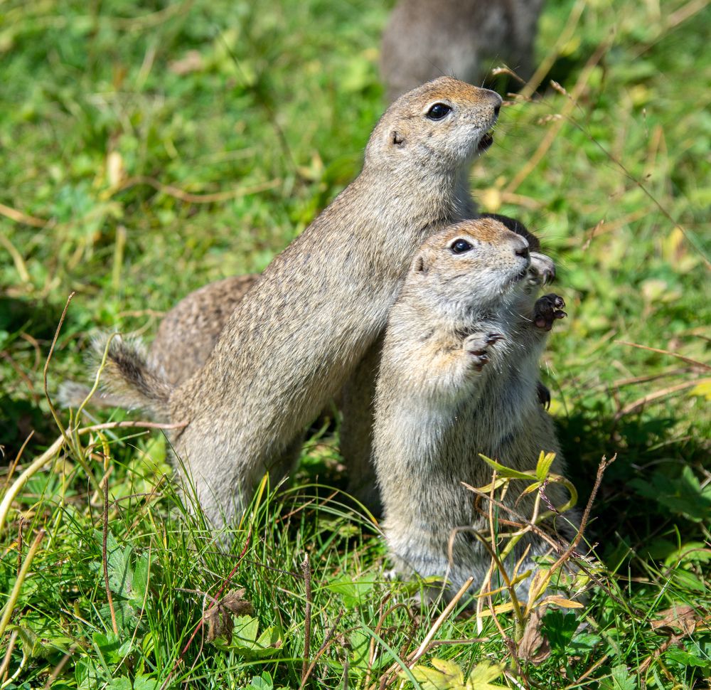 Photograph by Андрей