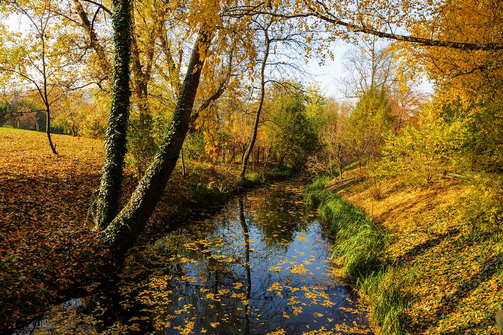 Photograph by Переслегин Александр