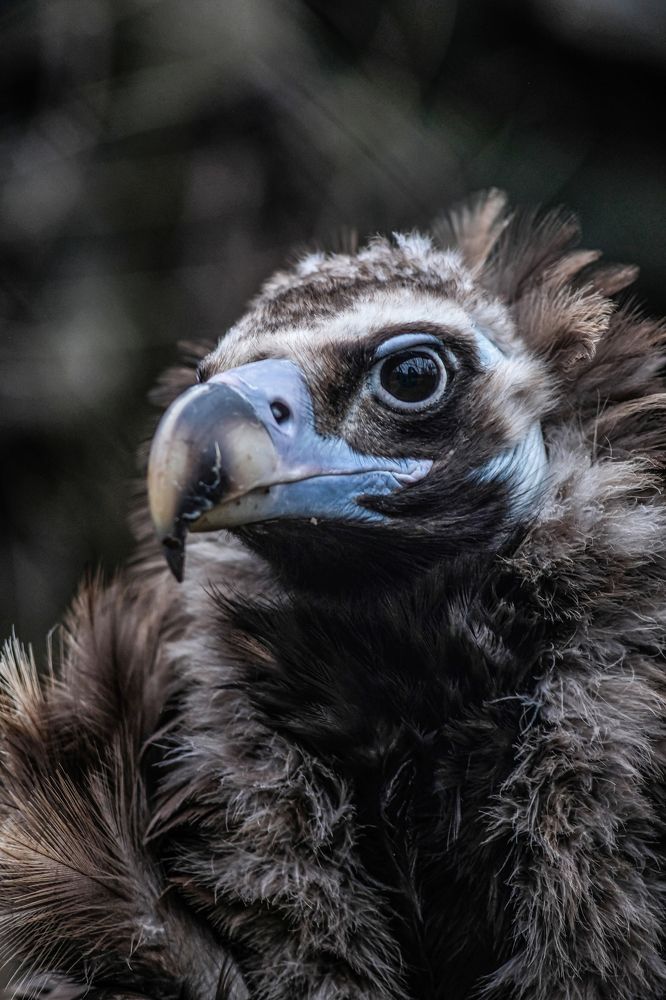 Фотография автора Роман Сергеевич