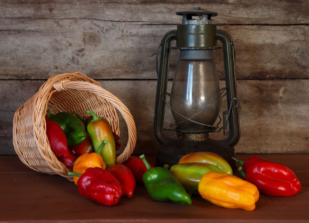 Photograph by Елена Рудкевич