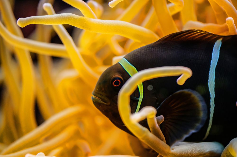 Фотография автора Роман Сергеевич