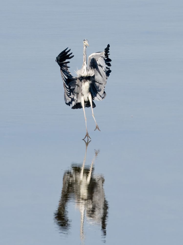 Фотография автора Юрий Макаров