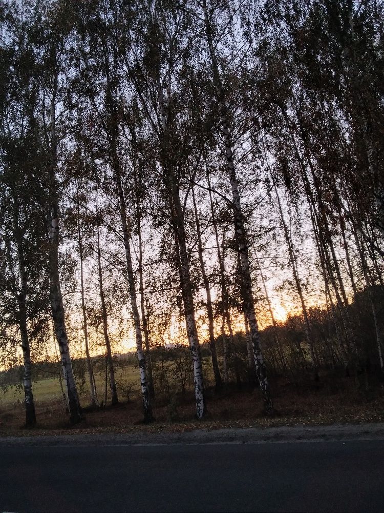 Photograph by Марта Васильева