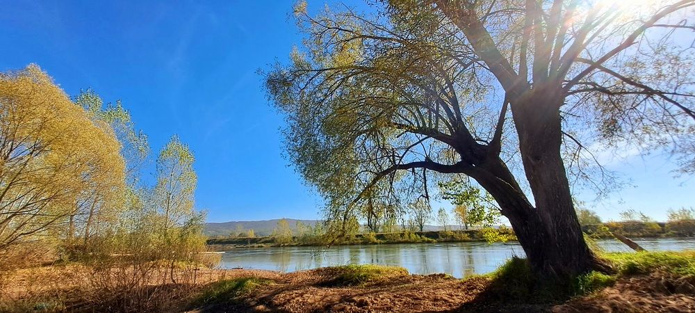 Photograph by Александра Насырова