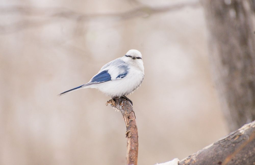 Photograph by Ирина