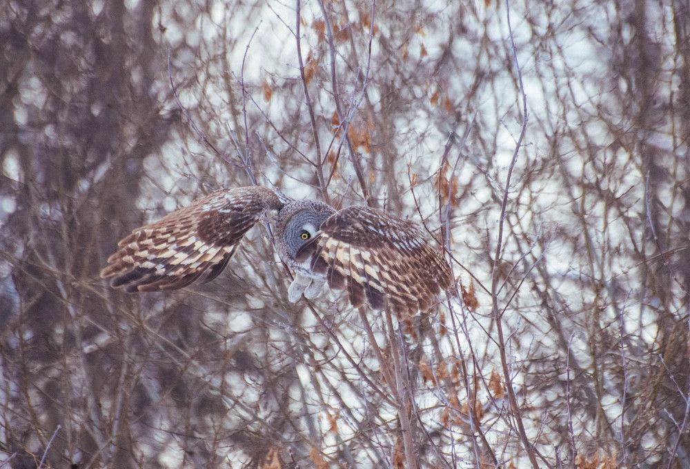 Photograph by Ирина