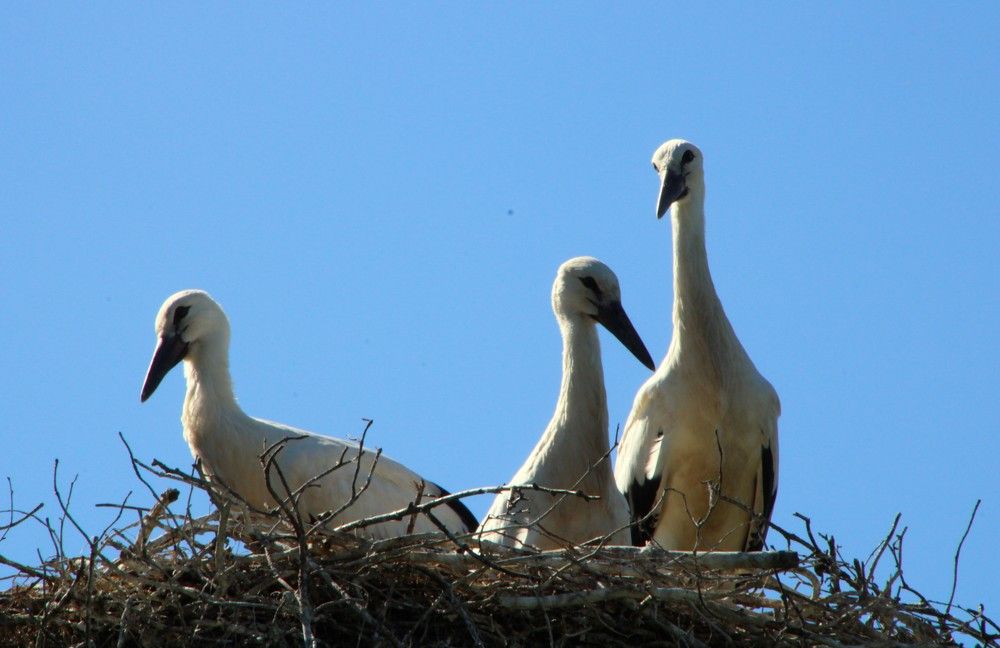 Photograph by Anna Baykova