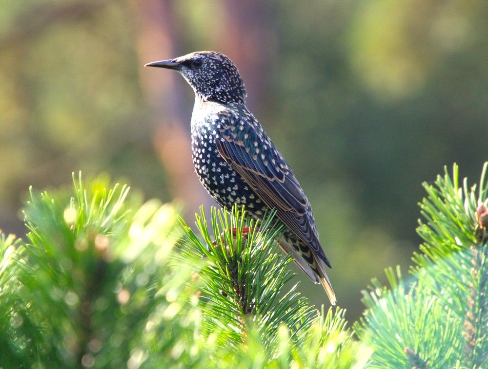 Photograph by Anna Baykova