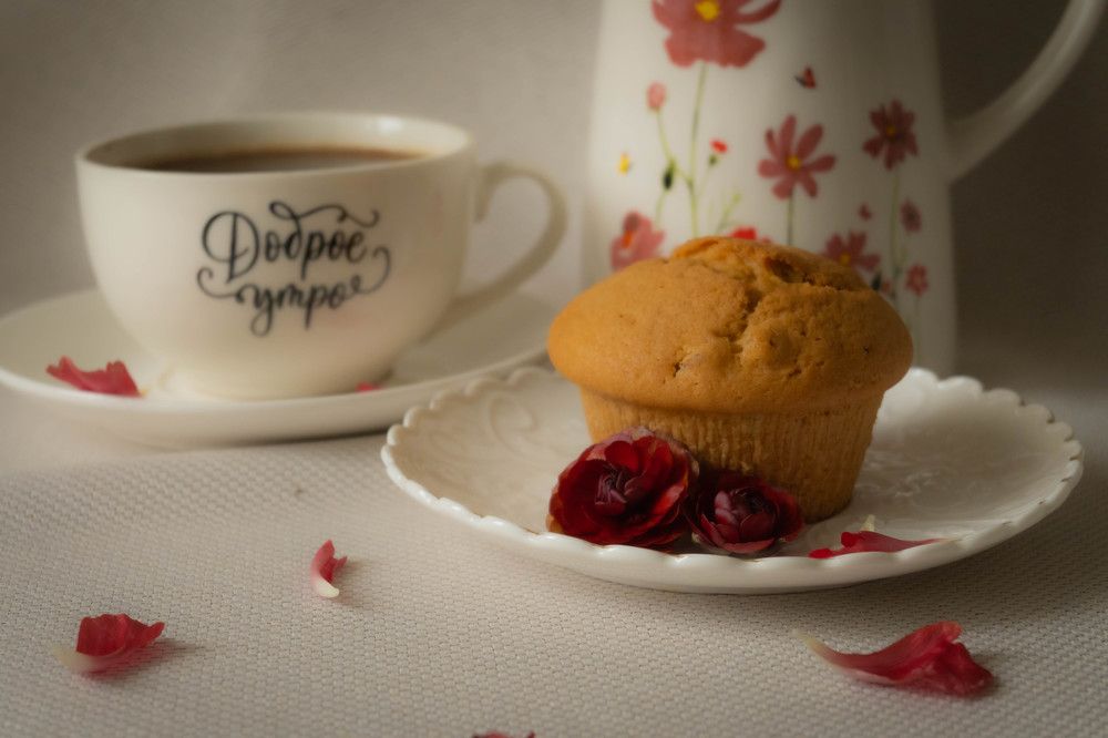 Фотография автора Оксана Белозерская