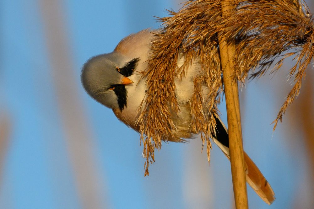 Фотография автора Юрий Макаров
