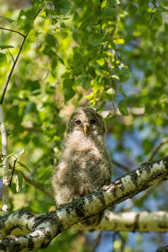 Photograph by Ирина