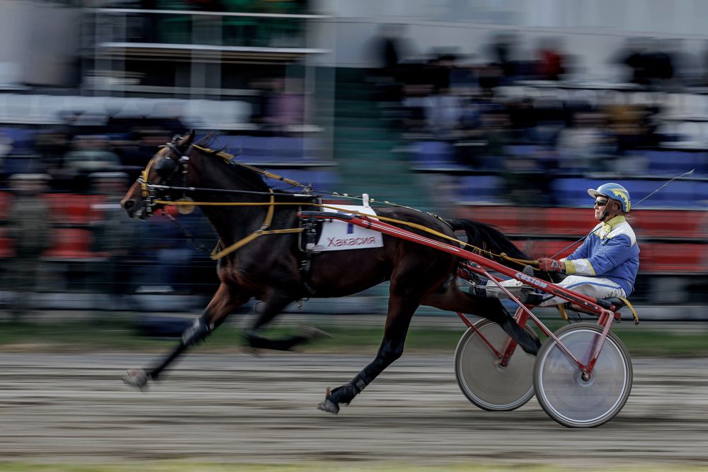 Photograph by Любовь Похабова