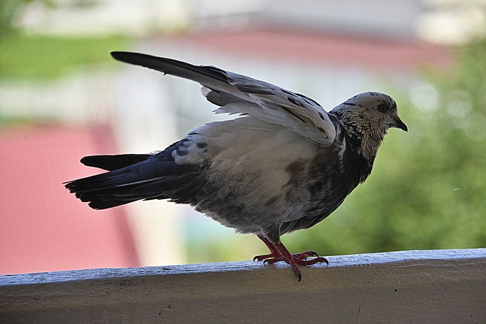 Photograph by Вадим Гераскин