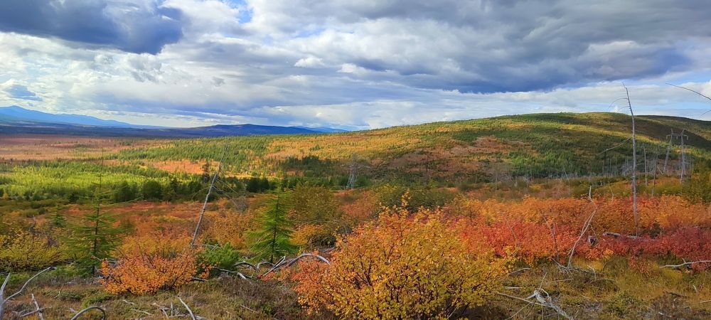 Photograph by Евгений Захаров