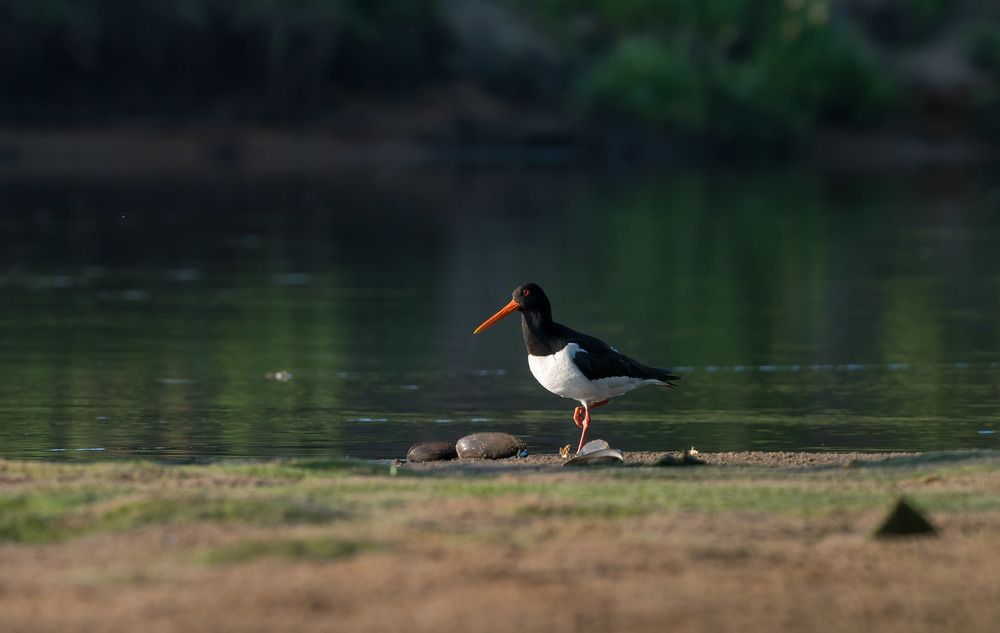 Photograph by Вячеслав Песков