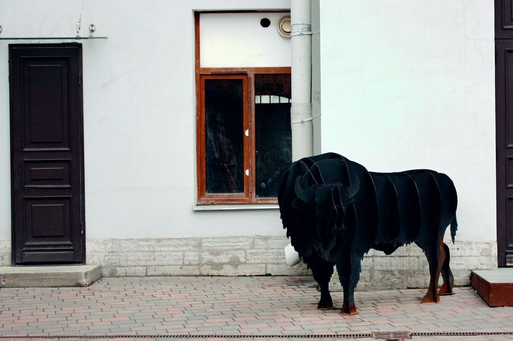 Photograph by Татьяна Кормщикова